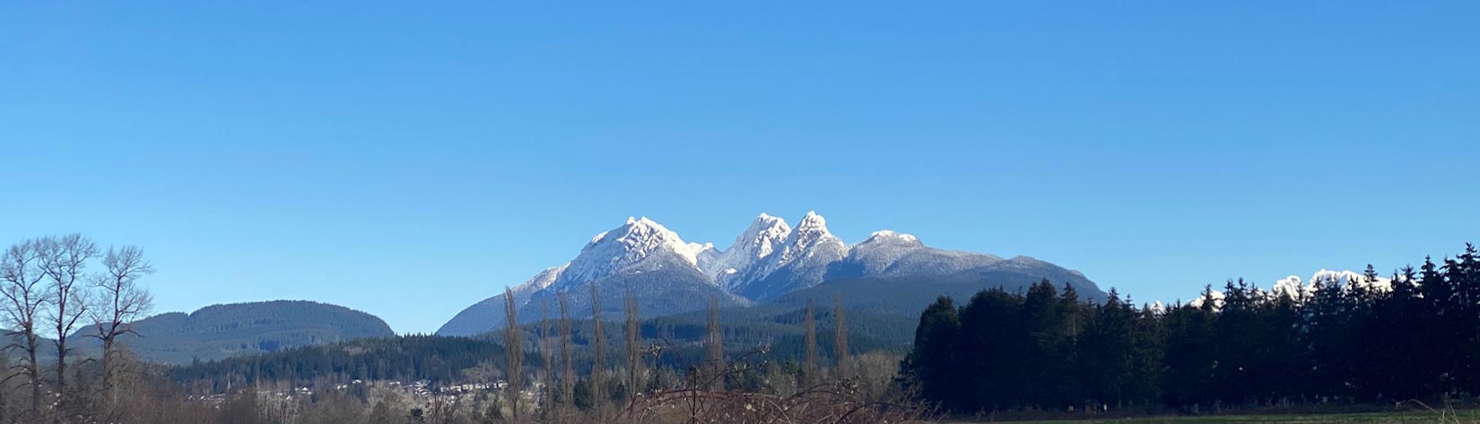 View of the mountain in Maple Ridge, BC.